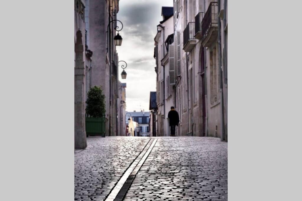 Appartamento L'Authentique - Le Poirier Orléans Esterno foto