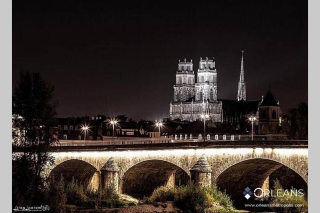 Appartamento L'Authentique - Le Poirier Orléans Esterno foto